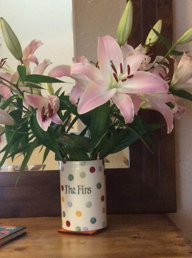 The Firs At Hay-On-Wye B&B Εξωτερικό φωτογραφία
